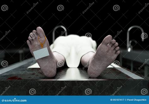 morgue pictures|morgue free images.